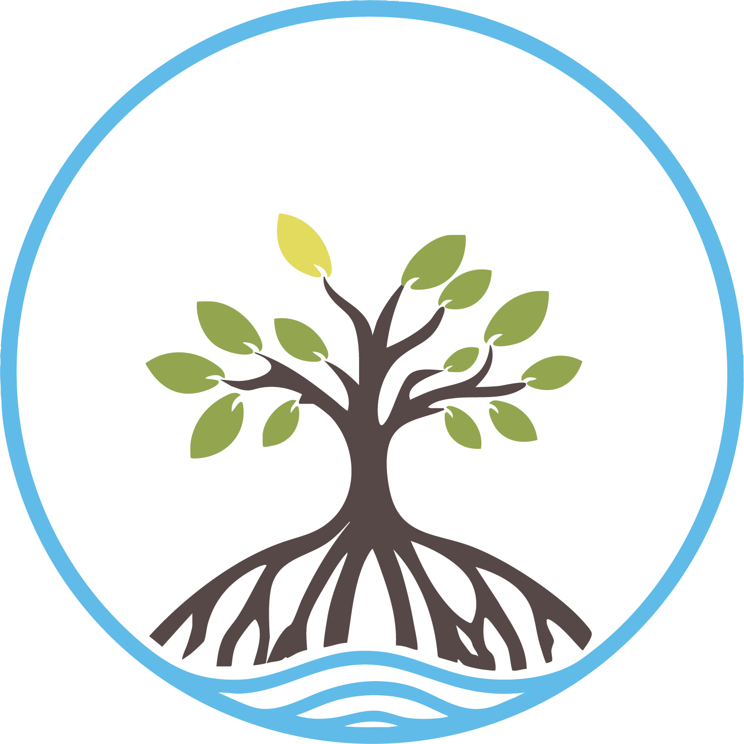 Mangrove Community Church